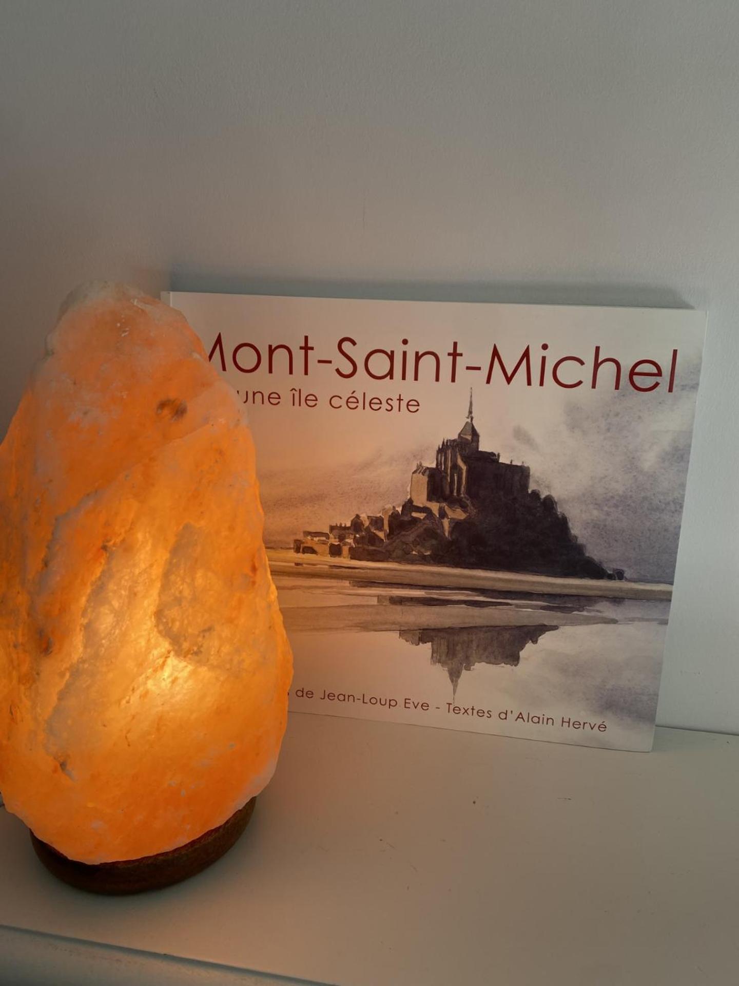 L'Oree Du Mont Proche Du Mont Saint Michel Pontorson Exteriör bild
